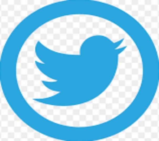 twitter icon